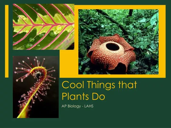 cool things that plants do