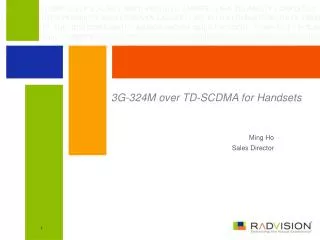 3G-324M over TD-SCDMA for Handsets