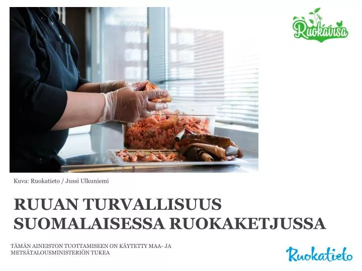 ruuan turvallisuus suomalaisessa ruokaketjussa