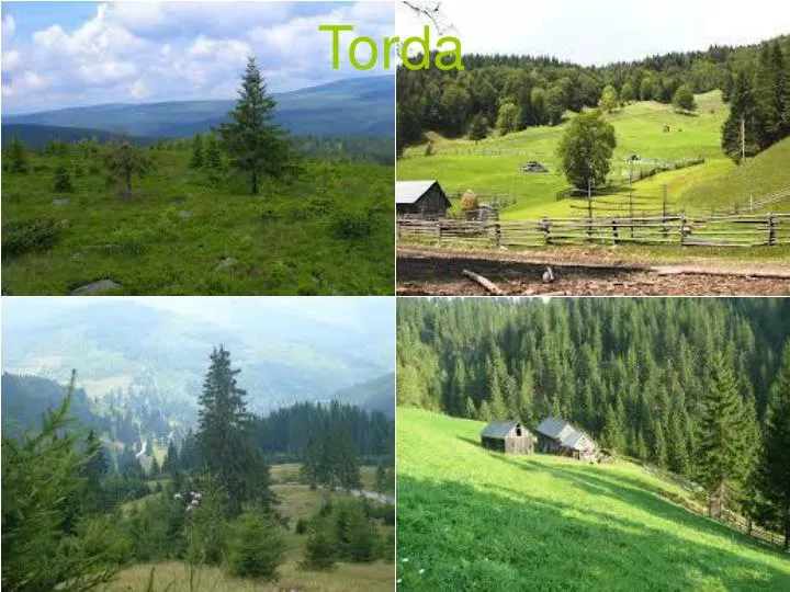 torda