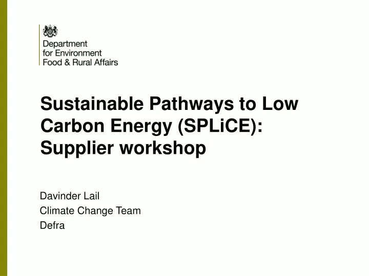 sustainable pathways to low carbon energy splice supplier workshop