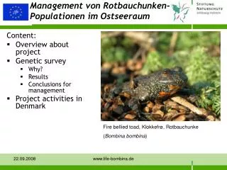 Management von Rotbauchunken- Populationen im Ostseeraum