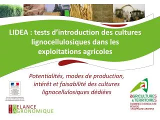 lidea tests d introduction des cultures lignocellulosiques dans les exploitations agricoles