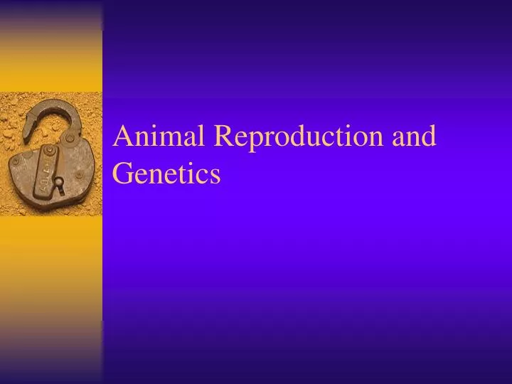 animal reproduction and genetics