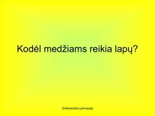 kod l med iams reikia lap