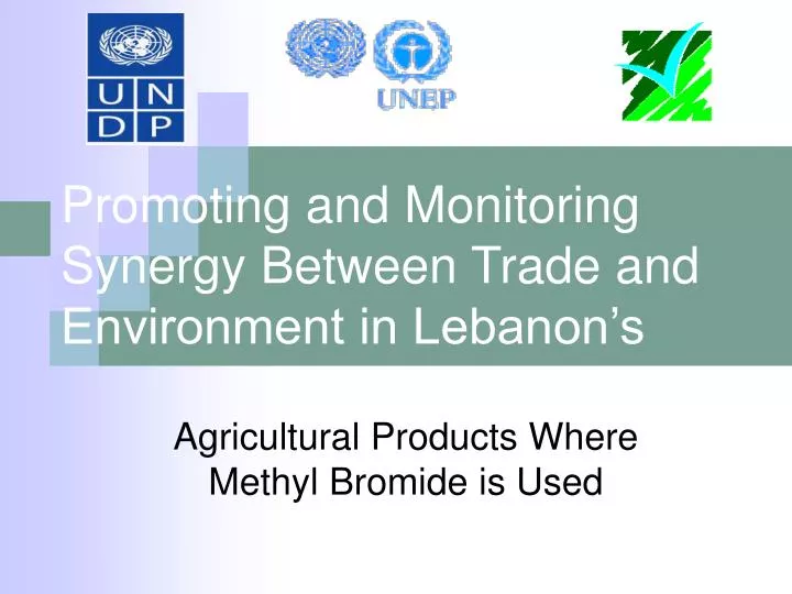 promoting and monitoring synergy between trade and environment in lebanon s