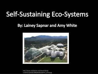 Self-Sustaining Eco-Systems