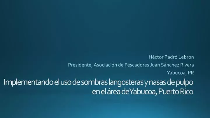 h ctor padr lebr n presidente asociaci n de pescadores juan s nchez rivera yabucoa pr