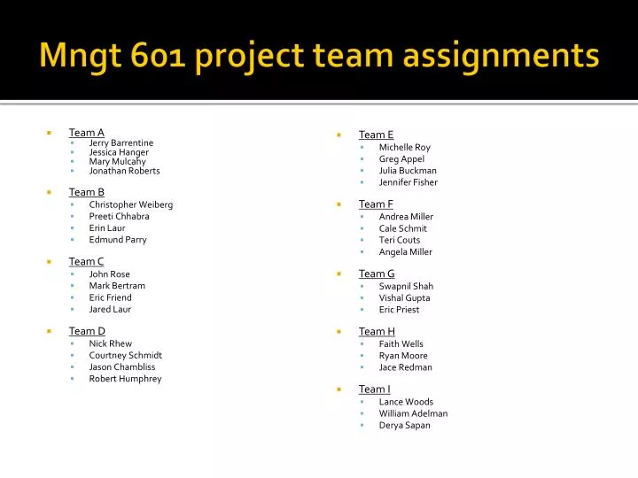 mngt 601 project team assignments