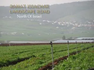 RAMAT issachar landscape road