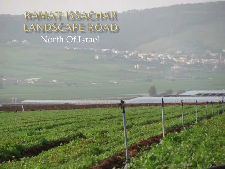 ramat issachar landscape road