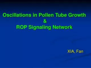 Oscillations in Pollen Tube Growth &amp; ROP Signaling Network