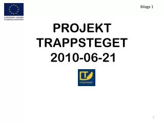 projekt trappsteget 2010 06 21