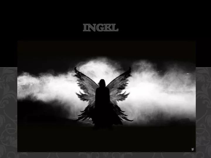 ingel