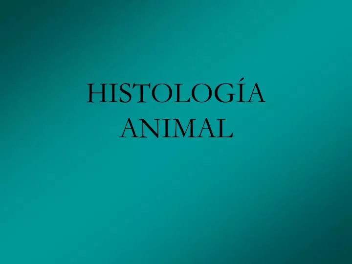 PPT - HISTOLOGÍA ANIMAL PowerPoint Presentation, Free Download - ID:4187037