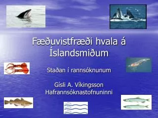 f uvistfr i hvala slandsmi um