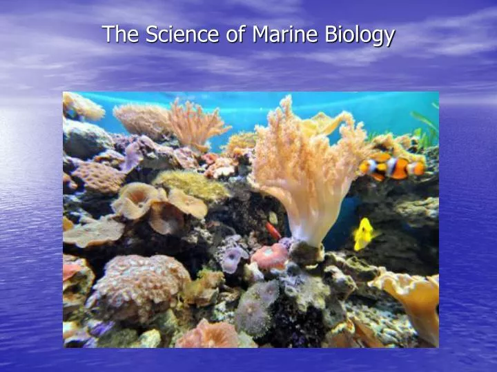 the science of marine biology