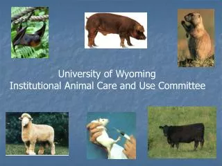University of Wyoming Institutional Animal Care and Use Committee