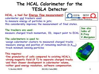 The HCAL Calorimeter for the TESLA Detector