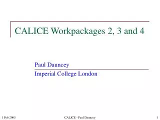 CALICE Workpackages 2, 3 and 4