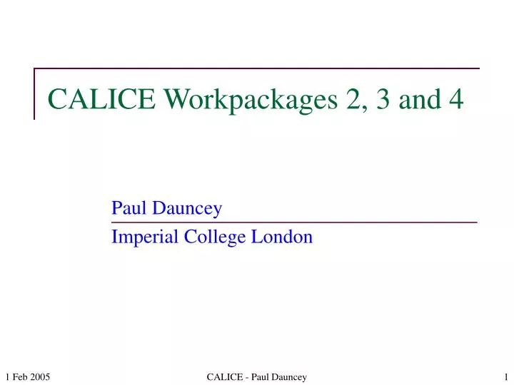 calice workpackages 2 3 and 4