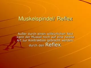 muskelspindel reflex