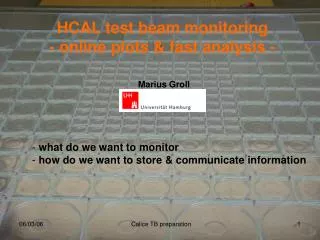HCAL test beam monitoring - online plots &amp; fast analysis -