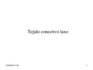 tejido conectivo laxo