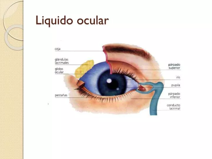 liquido ocular