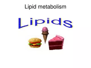 Lipid metabolism