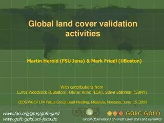Global land cover validation activities