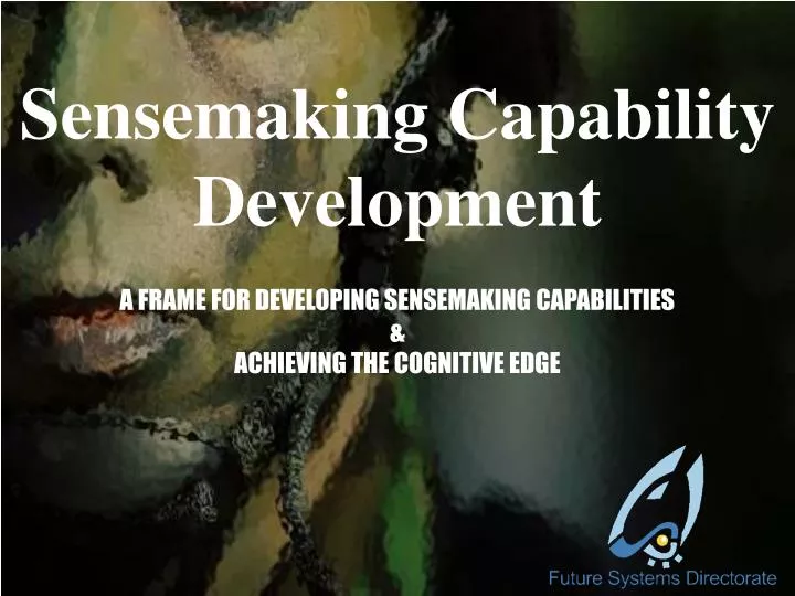 sensemaking capability development