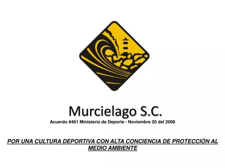 murcielago s c