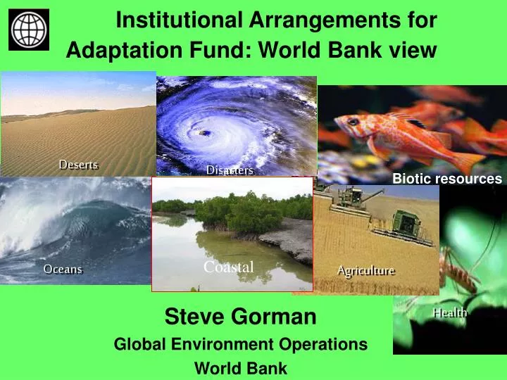 institutional arrangements for adaptation fund world bank view