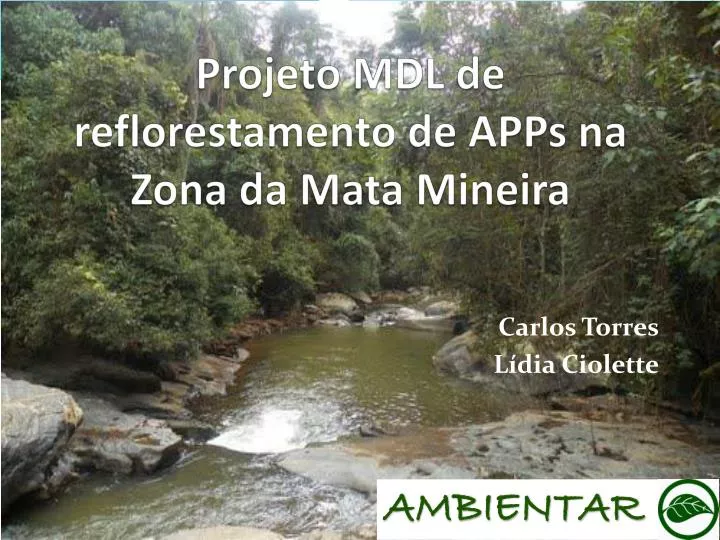 projeto mdl de reflorestamento de apps na zona da mata mineira