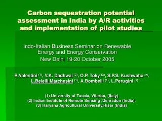 Indo-Italian Business Seminar on Renewable Energy and Energy Conservation