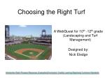 Choosing the Right Turf - slide 1