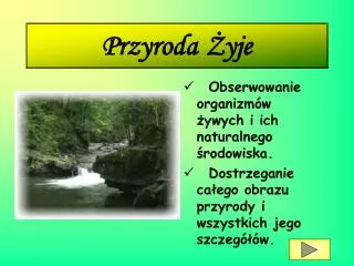 przyroda yje