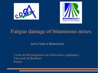 Fatigue damage of bituminous mixes