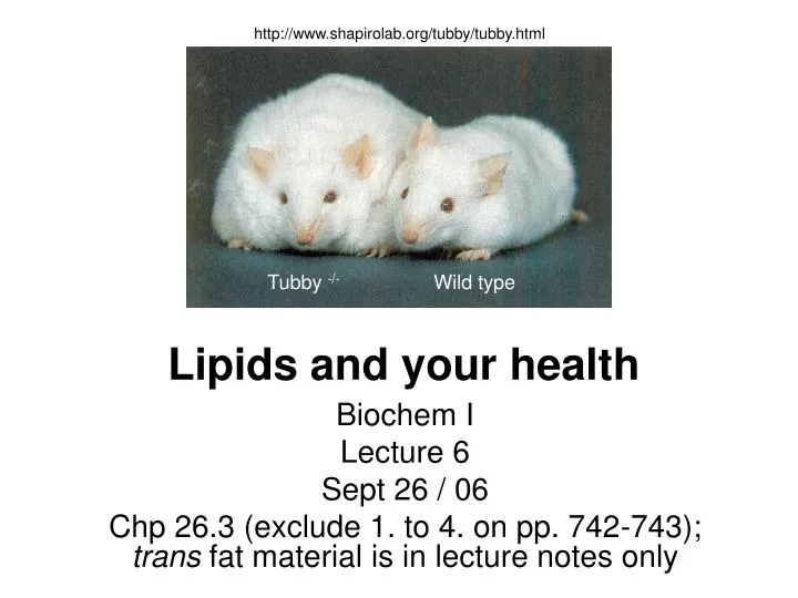 lipids and your health