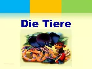 die tiere