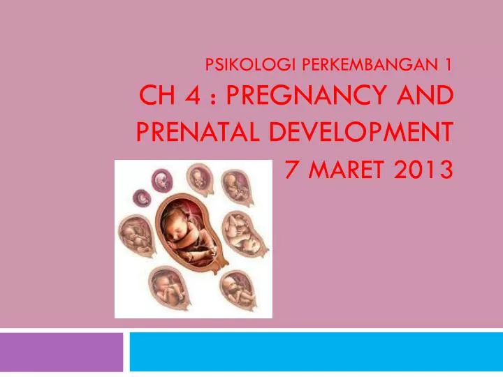 psikologi perkembangan 1 ch 4 pregnancy and prenatal development 7 maret 2013