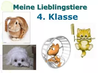 meine lieblingstiere