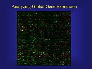 Analyzing Global Gene Expression