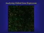 Understanding Microarray Data Analysis: Techniques and Tools for Global Gene Expression Analysis - slide 1