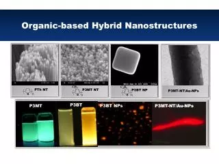 Organic-based Hybrid Nanostructures