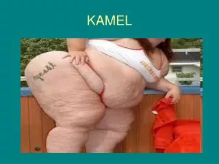 kamel
