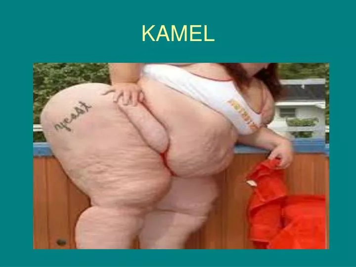 kamel