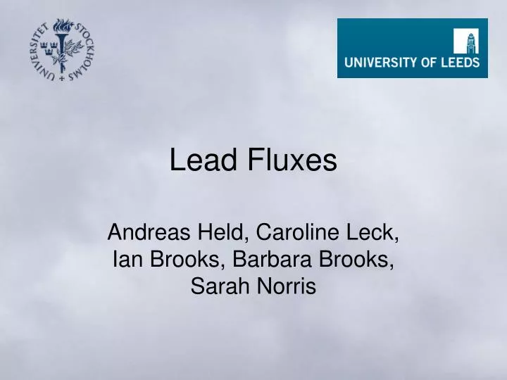 lead fluxes