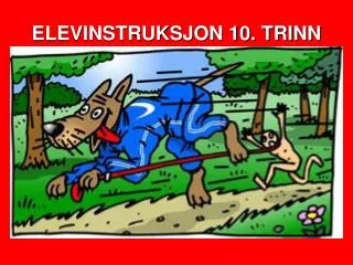 elevinstruksjon 10 trinn